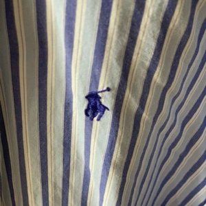 Ralph Lauren Men's Button Down Shirt